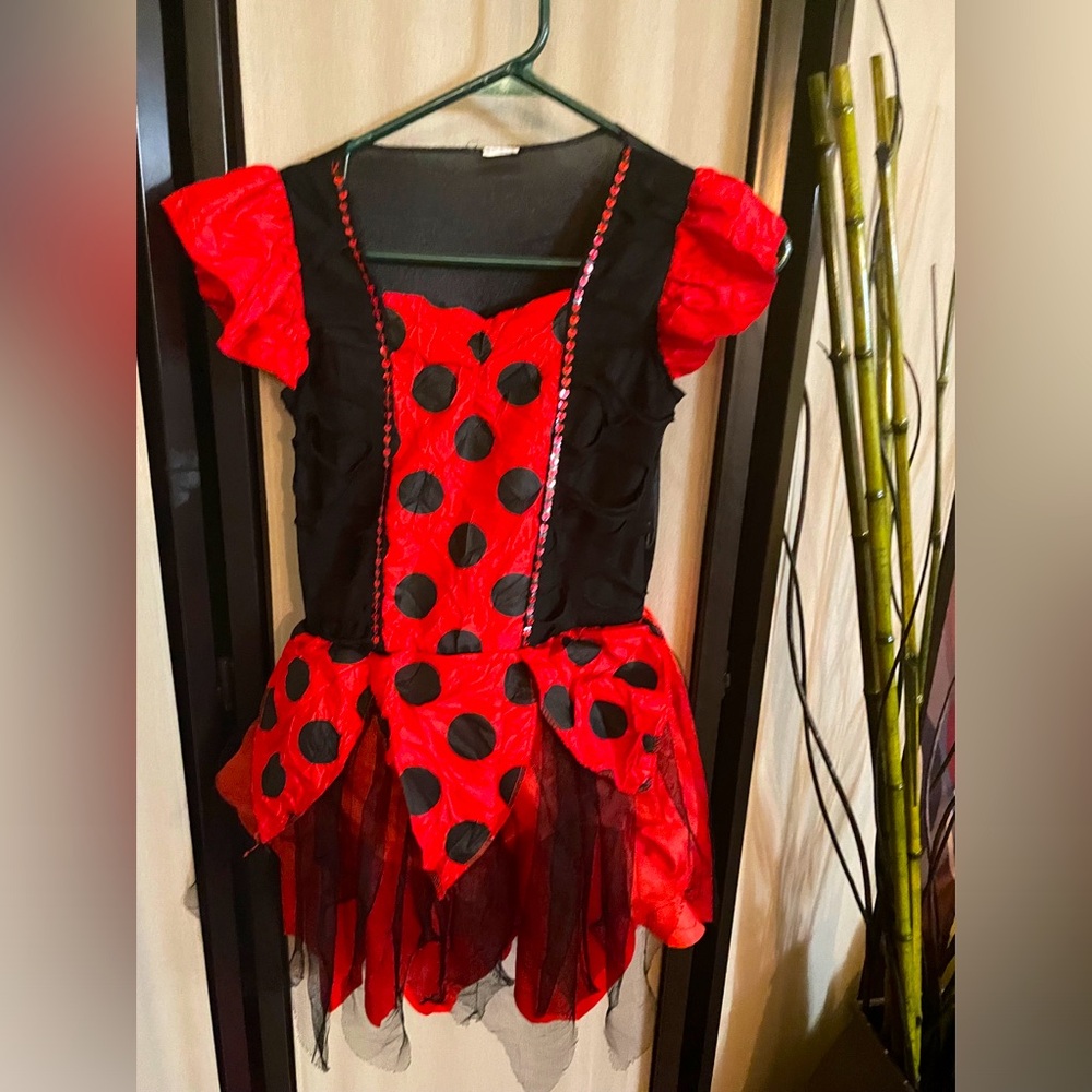 ⤵️ $15.00 or two for $20.00⤵️🎃Ladybug costume with dress & back bag. size 5 -7